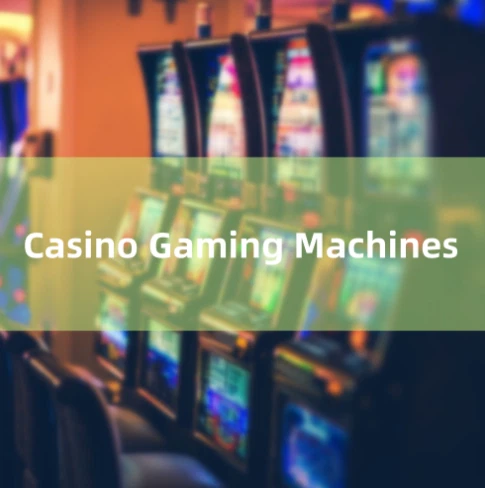 QQ20251217-172949 QQ20251217-172949